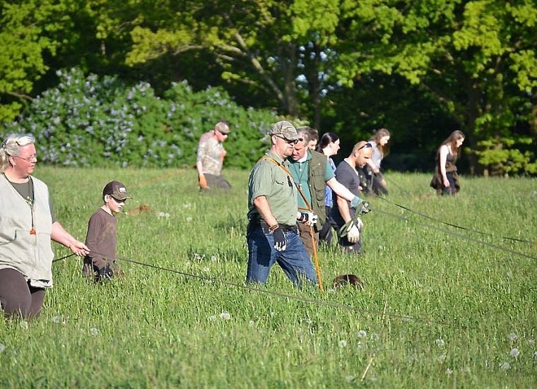 dogs-search-on-long-leashes-in-front-of-the-hunters
